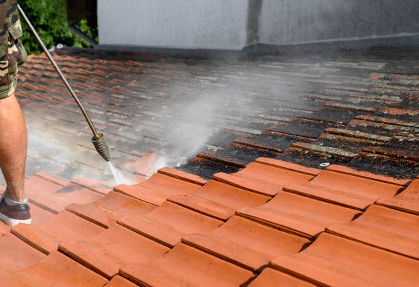 Best Residential Pressure Washing Services  in Pelican Bay, FL